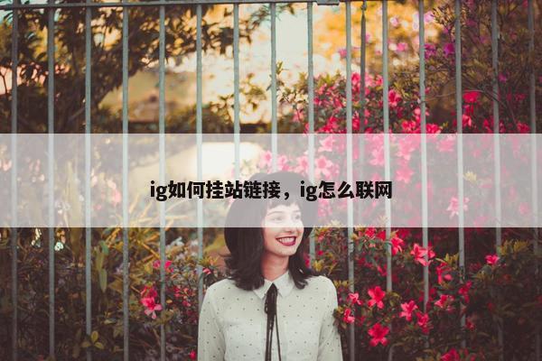 ig如何挂站链接，ig怎么联网