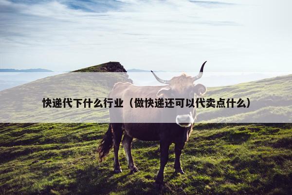 快递代下什么行业（做快递还可以代卖点什么）