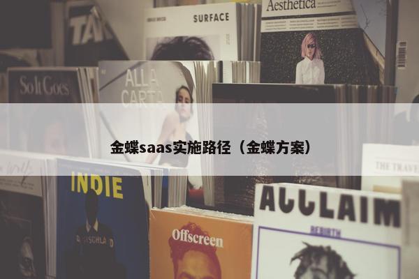 金蝶saas实施路径（金蝶方案）