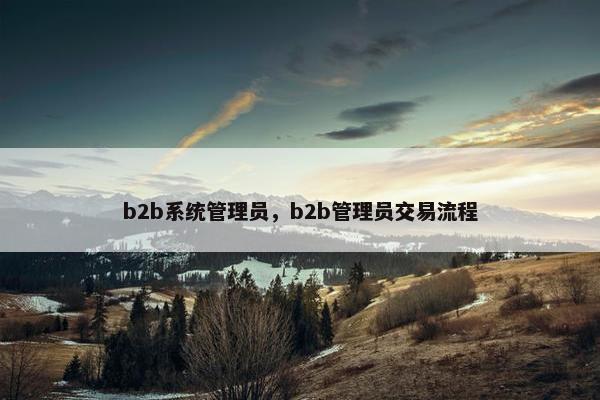 b2b系统管理员，b2b管理员交易流程