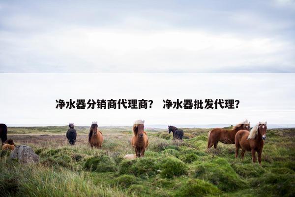 净水器分销商代理商？ 净水器批发代理？