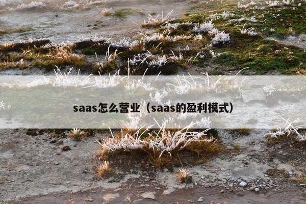 saas怎么营业（saas的盈利模式）