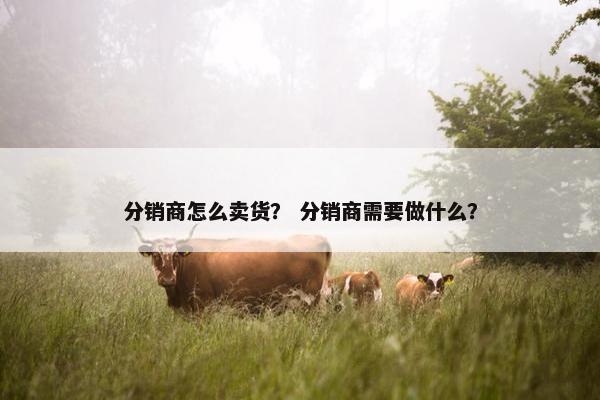 分销商怎么卖货？ 分销商需要做什么？