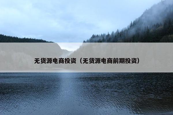 无货源电商投资（无货源电商前期投资）