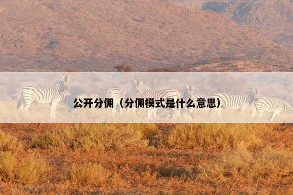 公开分佣（分佣模式是什么意思）