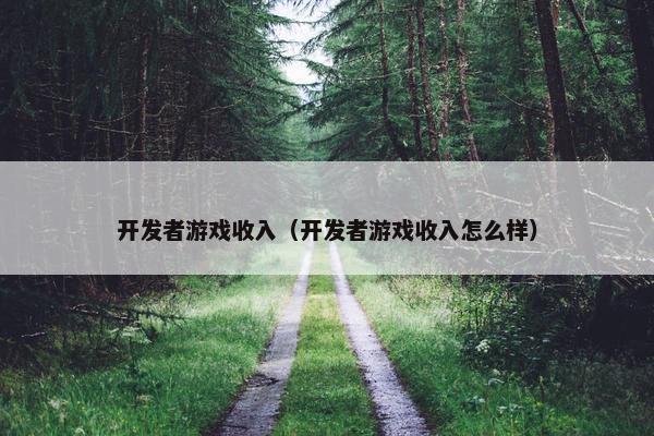 开发者游戏收入（开发者游戏收入怎么样）