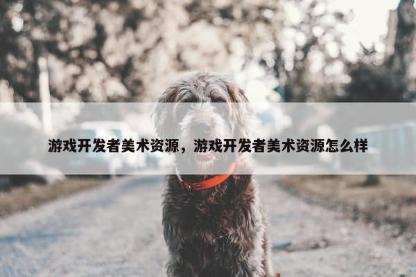 游戏开发者美术资源，游戏开发者美术资源怎么样