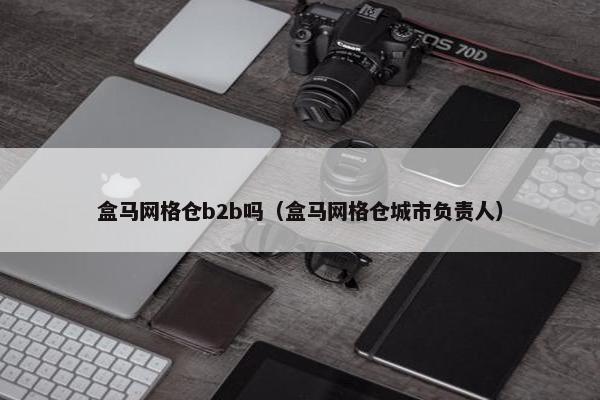 盒马网格仓b2b吗（盒马网格仓城市负责人）
