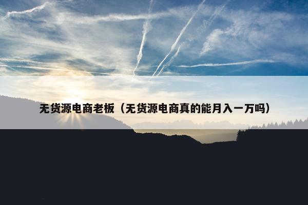 无货源电商老板（无货源电商真的能月入一万吗）