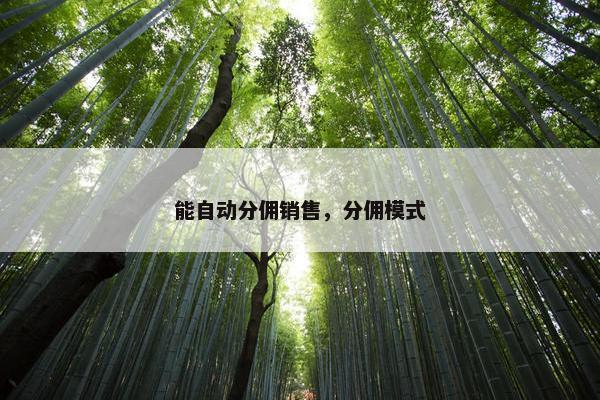 能自动分佣销售，分佣模式
