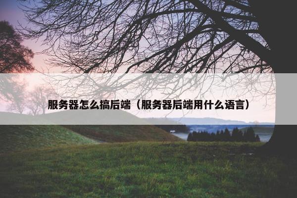 服务器怎么搞后端（服务器后端用什么语言）