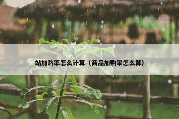 站加购率怎么计算（商品加购率怎么算）