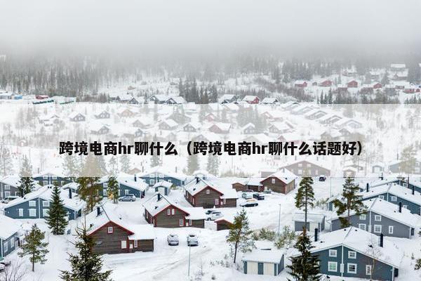 跨境电商hr聊什么（跨境电商hr聊什么话题好）