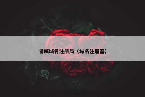 誉威域名注册局（域名注册器）