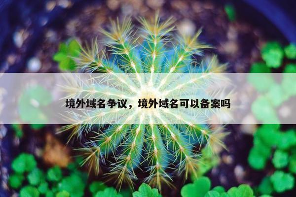 境外域名争议，境外域名可以备案吗