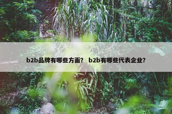 b2b品牌有哪些方面？ b2b有哪些代表企业？