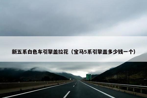 新五系白色车引擎盖拉花（宝马5系引擎盖多少钱一个）