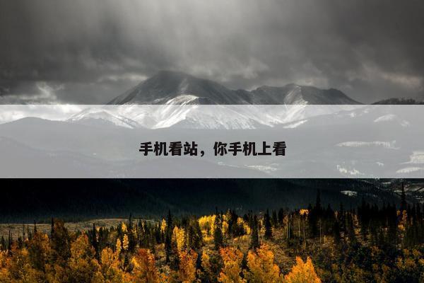 手机看站，你手机上看