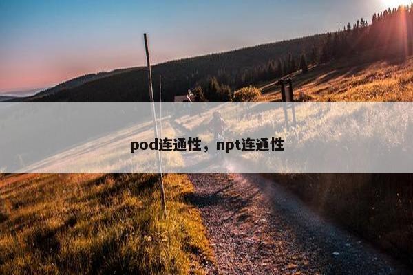 pod连通性，npt连通性