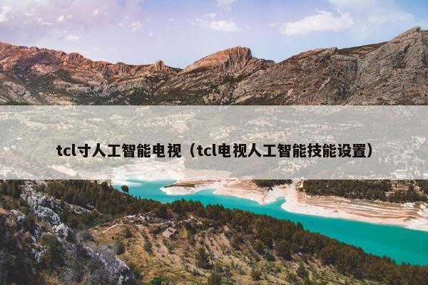 tcl寸人工智能电视（tcl电视人工智能技能设置）
