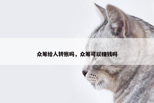 众筹给人转账吗，众筹可以赚钱吗