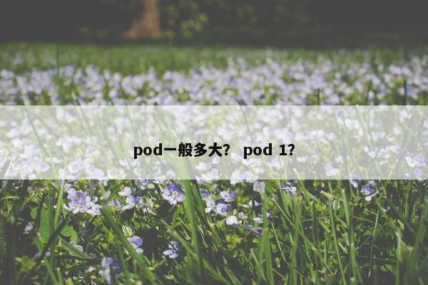 pod一般多大？ pod 1？
