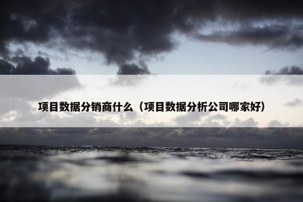 项目数据分销商什么（项目数据分析公司哪家好）