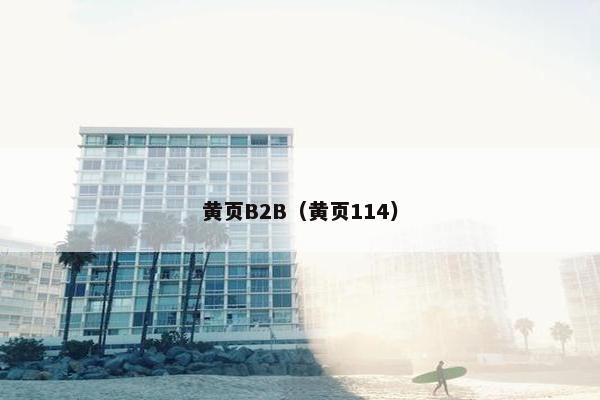 黄页B2B（黄页114）