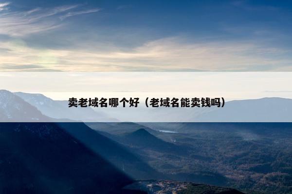 卖老域名哪个好（老域名能卖钱吗）