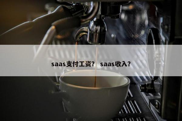 saas支付工资？ saas收入？