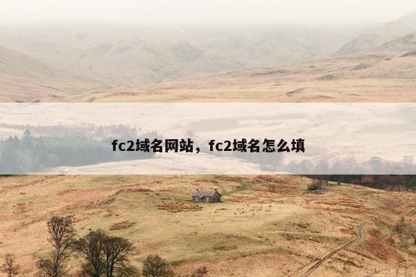 fc2域名网站，fc2域名怎么填
