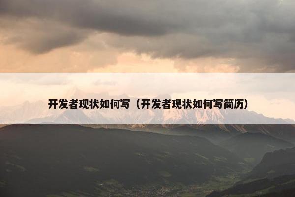 开发者现状如何写（开发者现状如何写简历）