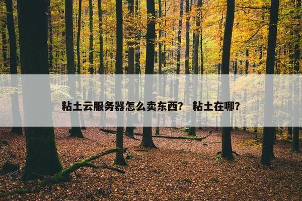 粘土云服务器怎么卖东西？ 粘土在哪？