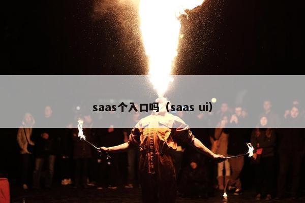 saas个入口吗（saas ui）