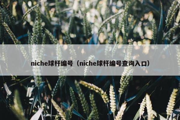 niche球杆编号（niche球杆编号查询入口）