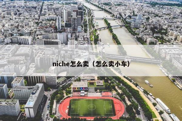 niche怎么卖（怎么卖小车）