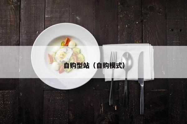 自购型站（自购模式）