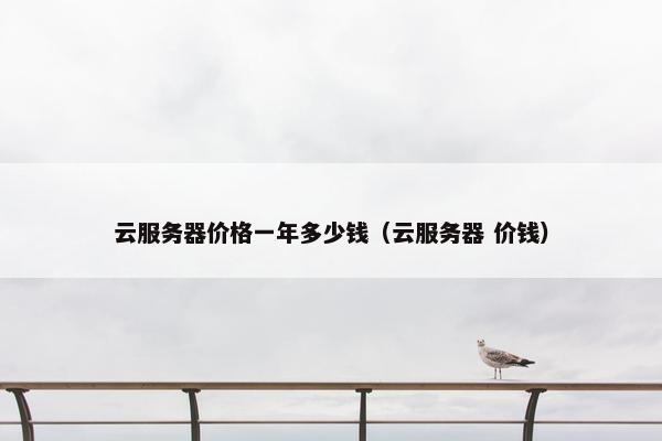 云服务器价格一年多少钱（云服务器 价钱）