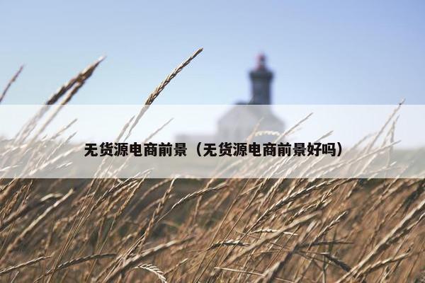 无货源电商前景（无货源电商前景好吗）