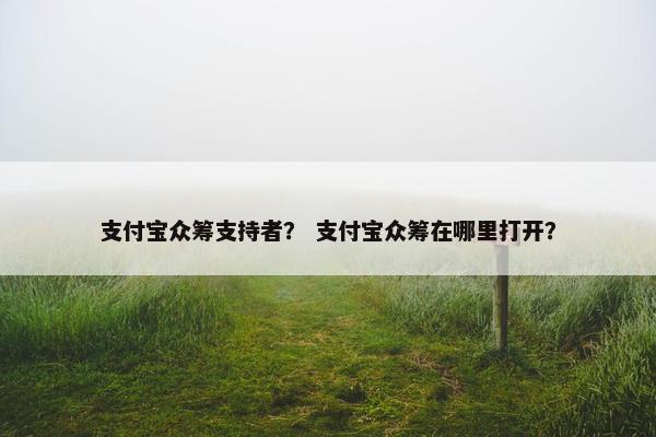 支付宝众筹支持者？ 支付宝众筹在哪里打开？