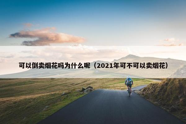 可以倒卖烟花吗为什么呢（2021年可不可以卖烟花）
