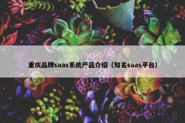 重庆品牌saas系统产品介绍（知名saas平台）