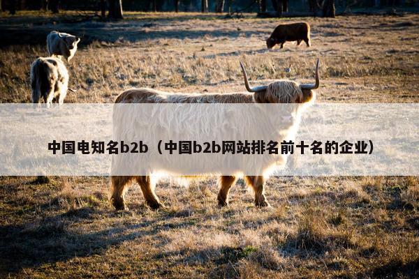 中国电知名b2b（中国b2b网站排名前十名的企业）