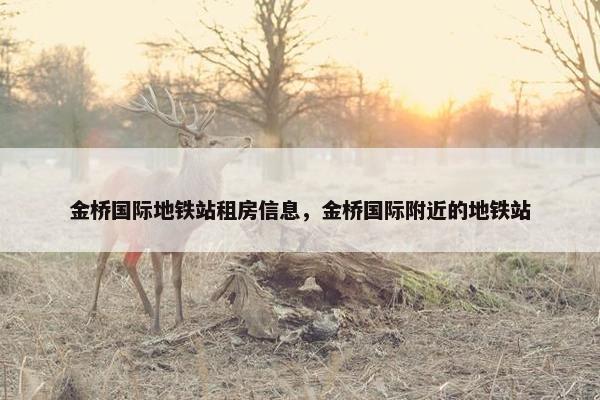 金桥国际地铁站租房信息，金桥国际附近的地铁站