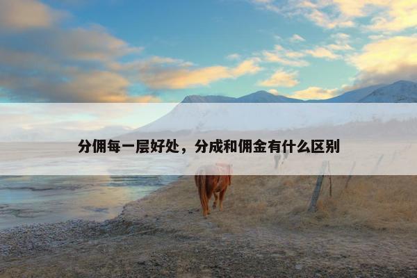 分佣每一层好处，分成和佣金有什么区别