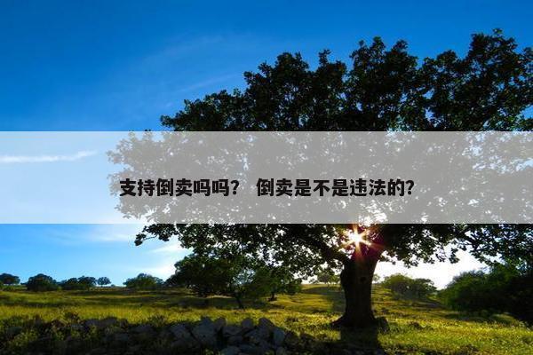 支持倒卖吗吗？ 倒卖是不是违法的？