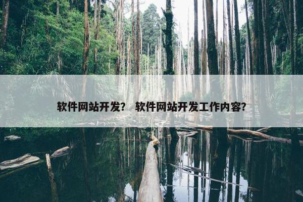 软件网站开发？ 软件网站开发工作内容？