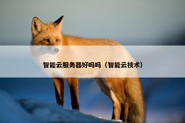 智能云服务器好吗吗（智能云技术）