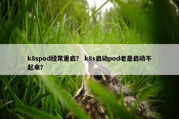 k8spod经常重启？ k8s启动pod老是启动不起来？