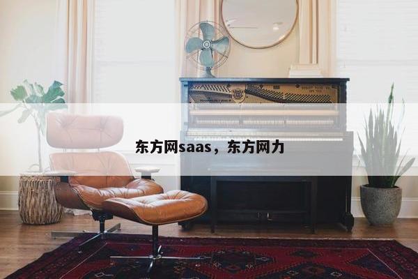 东方网saas，东方网力